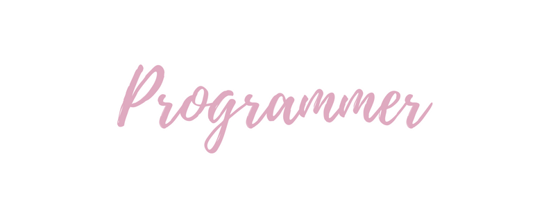 Programmer